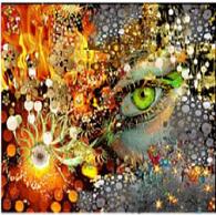 abstract image of soulmate eyes